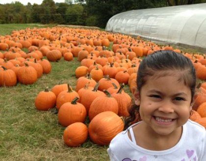 pumpkin-picking-in-westchester-hudson-valley